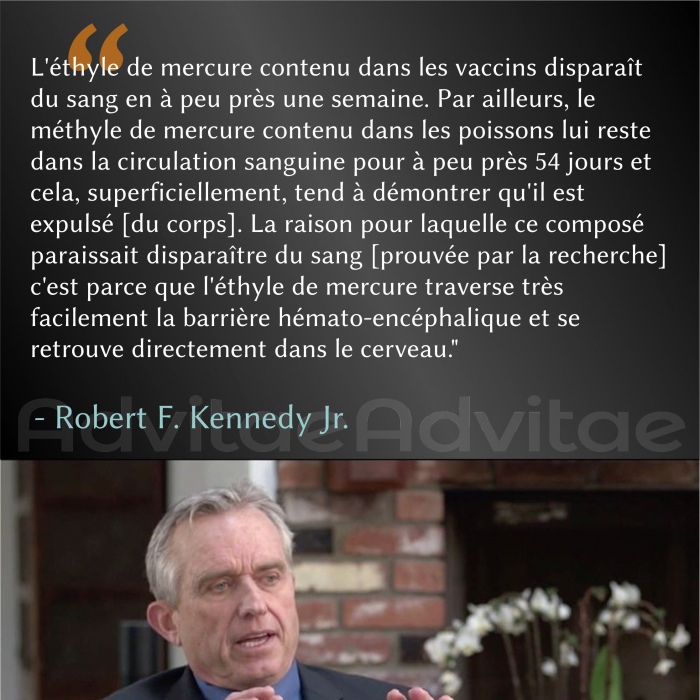 Vaccins: La raison pourquoi le mercure semble tre expuls du sang, c'est qu'il pntre directement dans le cerveau