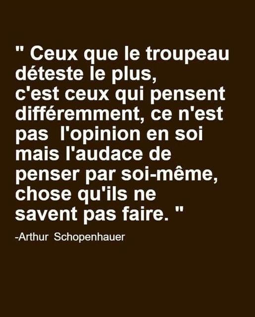 Schopenhauer : Ceux que le troupeau dteste le plus, c'est ceux qui pensent diffremment parce qu'ils ont l'audace de penser par eux-mme
