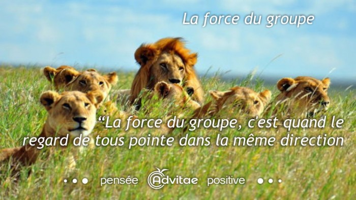 La force du groupe, c'est quand le regard de tous pointe dans la même direction​